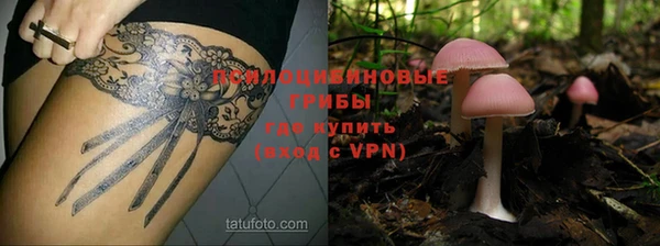 стафф Абинск