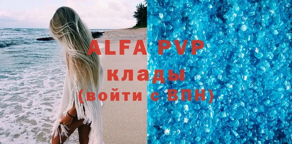 ПСИЛОЦИБИНОВЫЕ ГРИБЫ Новозыбков